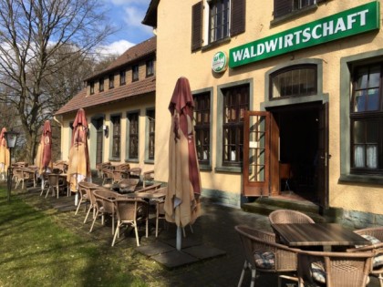 Foto: Warsteiner Waldwirtschaft im Bilsteintal